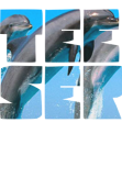 maglietta dolphins ??