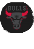 maglietta bulls
