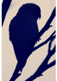 maglietta bird silhouette 