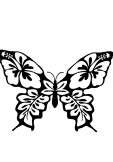 maglietta farfalla2