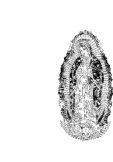 maglietta madonna di Guadalupe