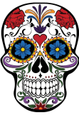 maglietta skullflower