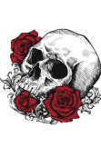 maglietta Skull and roses