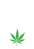 maglietta Jolla/joint