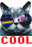 maglietta Coolcat