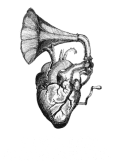 maglietta I'm a perfusionist!!