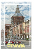 maglietta T-shirt Pavia piazza Ducale 