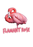 maglietta Flamant Rose