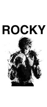 cover rocky