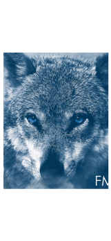 cover wolf