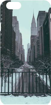 cover Snow in New York City 