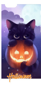 cover Halloween Cat / Cover