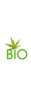 cover BIO marijuana