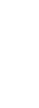 cover Principe Buzzurro