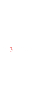 cover caZlzolaio