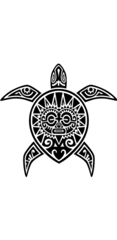 cover maori turtle