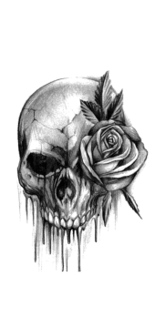 cover skull and rose