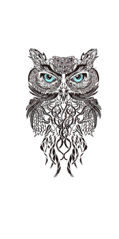 cover OWL