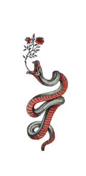cover Serpente di Rose 