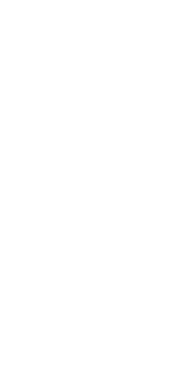 cover 2020 survivor