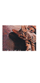 cover KukuAe