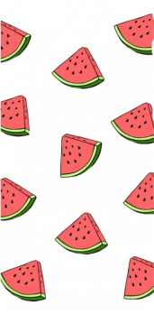 cover watermelonphone