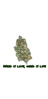 cover weed shirt