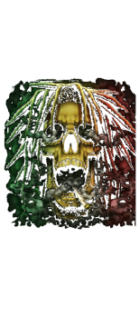 cover RASTA SKULL