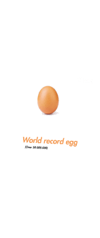cover world record egg 