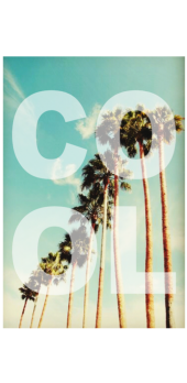 cover PalmTrees