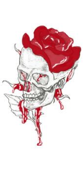 cover blooded skull