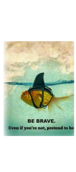 cover Be brave