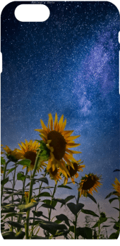 cover Sunflowers under the stars