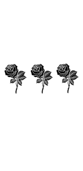 cover Roses aeshtetic t-shirt