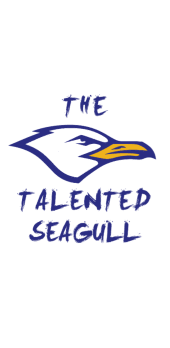 cover The Talented Seagull Darts T-Shirt