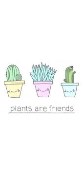 cover Plants are friend 