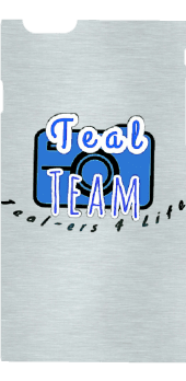 cover Teal Team