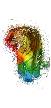 cover Tiger color