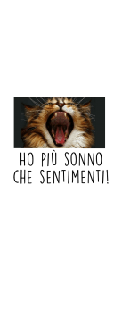 cover Ho più sonno che sentimenti!