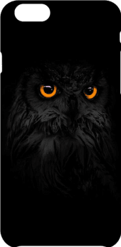 cover The Eyes of Owl