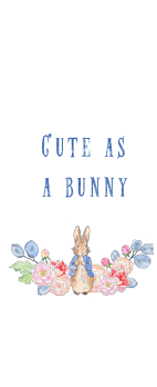 cover cute as a bunny