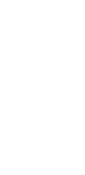 cover D. WINCHESTER 79 (SPN)