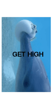 cover GET high