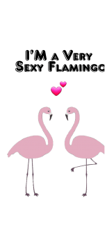 cover flamingo t -shirt