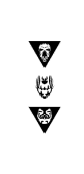 cover Triangle Tribal Masks