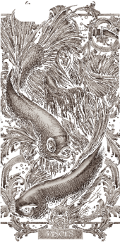 cover Pisces