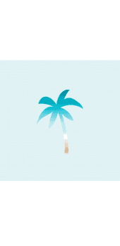 cover palma oceanica