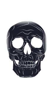 cover black skull tee