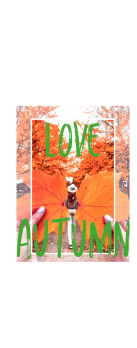 cover Love Autunno
