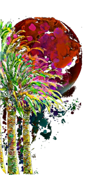cover Tropical Night 